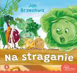 Na straganie - Jan  Brzechwa