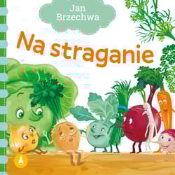 Na straganie - Jan  Brzechwa, Kazimierz Wasilewski