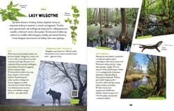Galeria - zdjęcie nr. 2 - Na szlaku. Pod miastem. Młodzi przyrodnicy