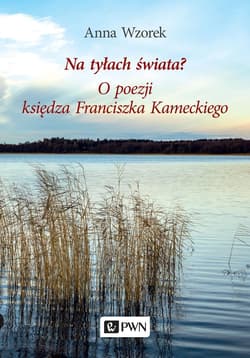 Na tyłach świata? O poezji księdza Franciszka Kameckiego - Anna Wzorek
