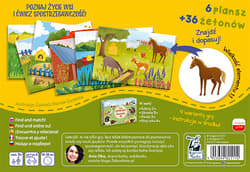 Galeria - zdjęcie nr. 3 - Na wsi Gra loteryjka