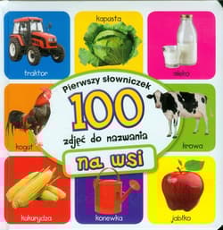 Na wsi Pierwszy słowniczek 100 zdjęć do nazwan - Anna Wiśniewska