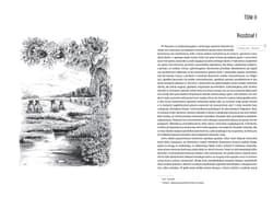 Galeria - zdjęcie nr. 2 - Nad Niemnem