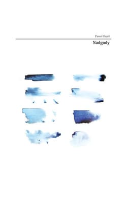 Nadgody - Paweł Orzeł