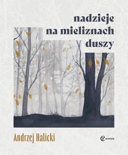 Nadzieje na mieliznach duszy - Andrzej Halicki