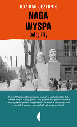 Naga Wyspa - ebook - Bozidar Jezernik