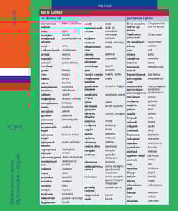 Najważniejsze słowa błyskawicznie rosyjski PONS - Opracowanie Zbiorowe