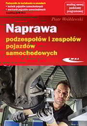Naprawa podzespołów i zespołów pojazdów samochodowych - Piotr Wróblewski