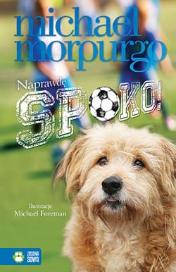 Naprawdę spoko!