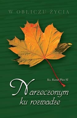 Narzeczonym ku rozwadze - Raoul  Plus