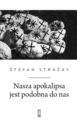 Nasza apokalipsa jest podobna do nas - Štefan Strážay