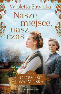 Nasze miejsce, nasz czas - ebook - Wioletta Sawicka
