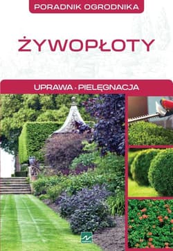 Natura Żywopłoty - Michał Mazik
