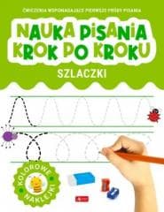 Nauka pisania krok po kroku. Szlaczki - Praca zbiorowa
