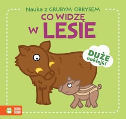 Nauka z grubym obrysem Co widzę w lesie - Opracowanie Zbiorowe