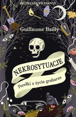 Nekrosytuacje - ebook - Guillaume Bailly