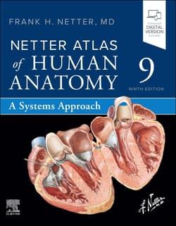 Netter Atlas of Human Anatomy . A Systems Approach - Netter Frank H.