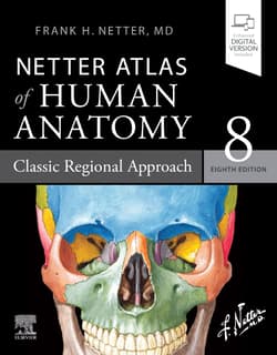 Netter Atlas of Human Anatomy: Classic Regional Approach: paperback + eBook - Netter Frank H.