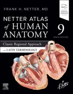Netter Atlas of Human Anatomy. Classic Regional Approach with Latin Terminology - Netter Frank H.