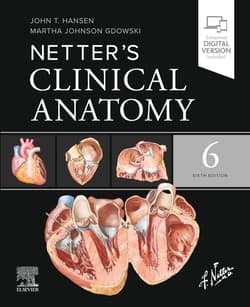 Netter's Clinical Anatomy, 6th Edition - Hansen John T., Martha Johnson Gdowski
