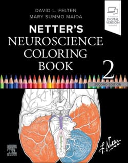 Netter's Neuroscience Coloring Book - Felten David L.,  Maida Mary Summo