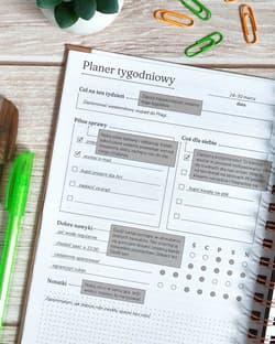 Galeria - zdjęcie nr. 3 - Neuroplaner