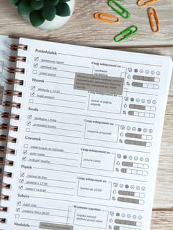 Galeria - zdjęcie nr. 5 - Neuroplaner