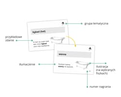 Galeria - zdjęcie nr. 3 - Niderlandzki dla początkujących. Fiszki PLUS wyd. 2