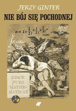 Nie bój się pochodnej - Jerzy Ginter