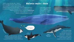 Galeria - zdjęcie nr. 2 - Nie jestem rybą. Fakty o zwierzętach. Młodzi przyrodnicy