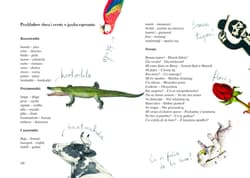 Galeria - zdjęcie nr. 3 - Nie krokodyluj! O drodze Ludwika Zamenhofa do języka esperanto