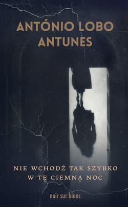Nie wchodź tak szybko w tę ciemną noc - ebook - Antunes Antonio Lobo
