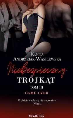 Niebezpieczny trójkąt Tom 3 Game over - Kamila Andrzejak-Wasilewska