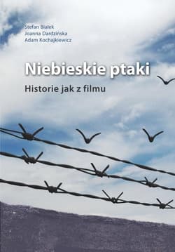 Niebieskie ptaki Historie jak z filmu