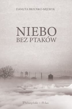 Niebo bez ptaków - Danuta Brzosko-Mędryk