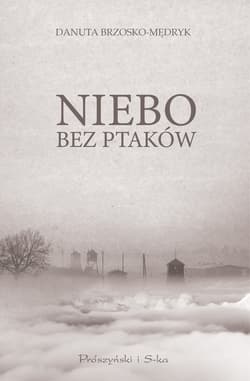 Niebo bez ptaków - ebook - Danuta Brzosko-Mędryk