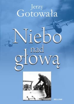 Niebo nad głową - Jerzy Gotowała