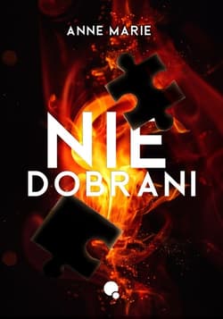 Niedobrani - Anne Marie
