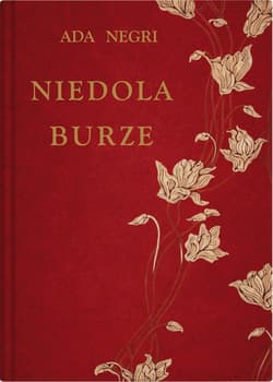Niedola burze - Negri Ada