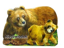Niedźwiadek - Rafał Wejner