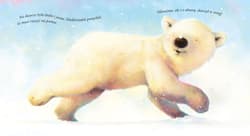 Galeria - zdjęcie nr. 3 - Niedźwiadek polarny. Picturebook