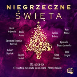 Niegrzeczne święta - audiobook - Robert Ziębiński, Anna Langner, Meg Adams
