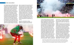 Galeria - zdjęcie nr. 4 - Niepokój stadionów