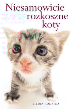 Niesamowicie rozkoszne koty