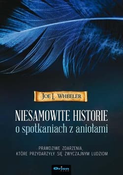 Niesamowite historie o spotkaniach z aniołami - Joe Wheeler