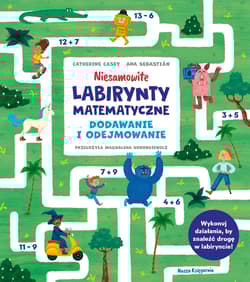 Niesamowite labirynty matematyczne. Dodawanie i odejmowanie - null null, Catherine Casey