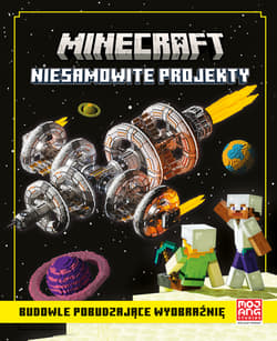 Niesamowite projekty. Minecraft - Thomas McBrien