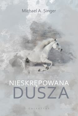 Nieskrępowana dusza - ebook - Singer Michael A.