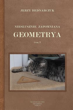 Niesłusznie zapomniana geometrya tom I -  Bednarczuk Jerzy