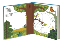 Galeria - zdjęcie nr. 4 - Niespodzianka Magiczne koło Kapitan Nauka